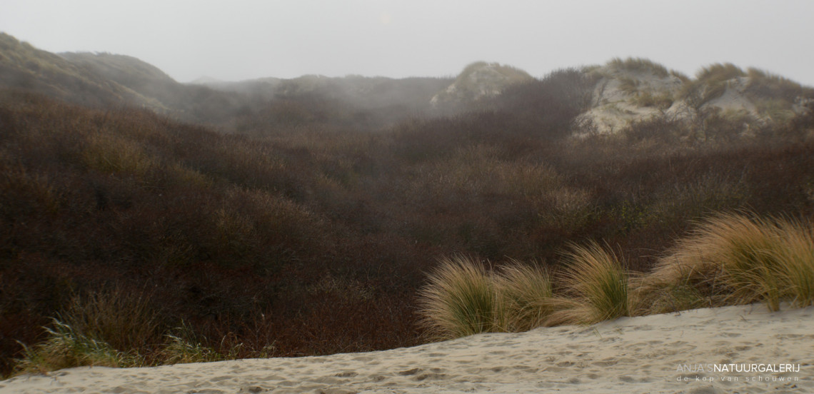 mist en nevel in de duinen