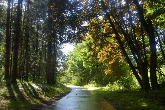 Boswachterij Westerschouwen