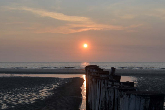 Kustgebied - Strand